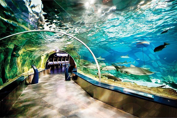 Istanbul Aquarium